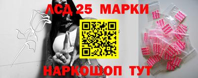 индика Гусь-Хрустальный
