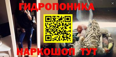 индика Гусь-Хрустальный